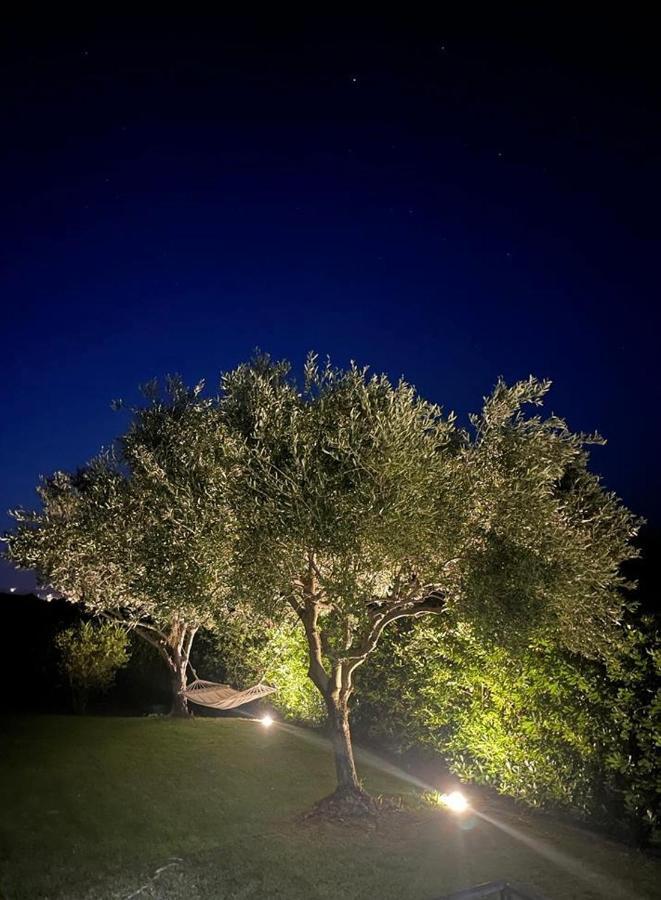 Villa Aurelia San Teodoro  Dış mekan fotoğraf